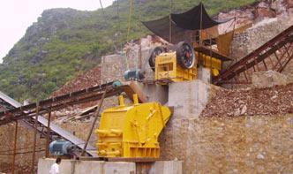 professional construction crusher machineries for sale
